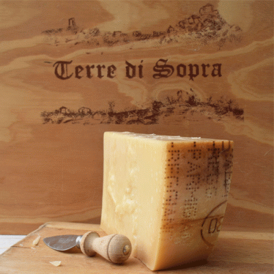 Parmigiano Reggiano di Collina  36 mesi - Sel. Terre di Sopra