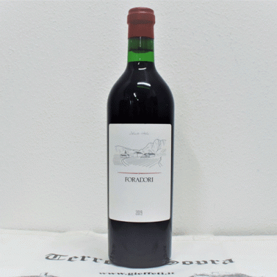 Teroldego  Vigneti delle Dolomiti IGT  2021 - Foradori