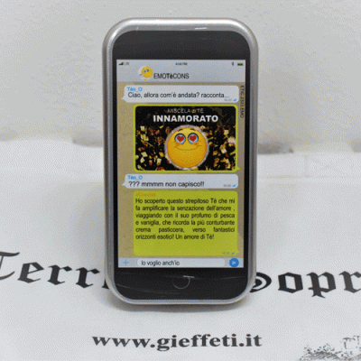 Innamorato - Miscela di Tè Verde - Ferri dal 1905