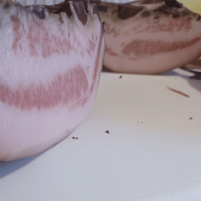 Guanciale stagionato - Terre di Sopra