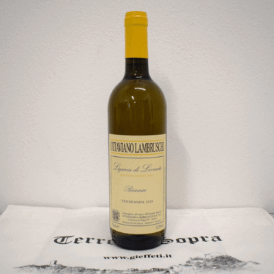 Liguria di Levante Bianco igp 2024  Lambruschi