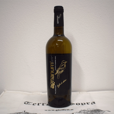 "Campi Flegrei" Falanghina doc  2022 - Agnanum