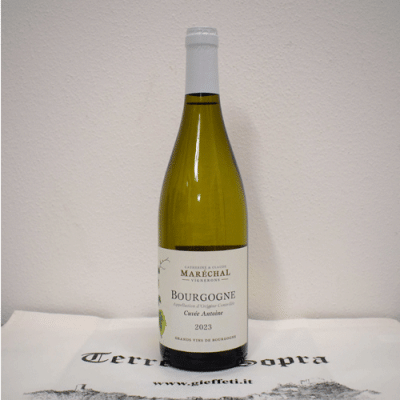 Bourgogne Blanc "Cuvée Antoine" 2023  - Domaine Maréchal