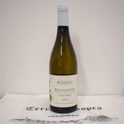 Bourgogne Blanc "Cuvée Antoine" 2024  - Domaine Maréchal